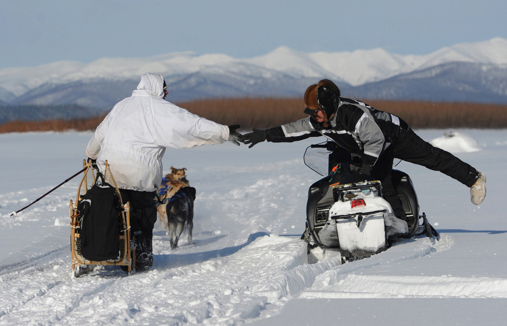 гонка на собачьих упряжках