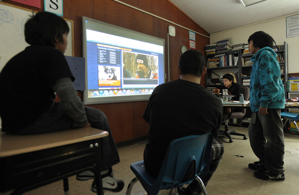 гонка на собачьих упряжках