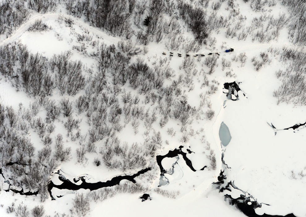 гонка на собачьих упряжках