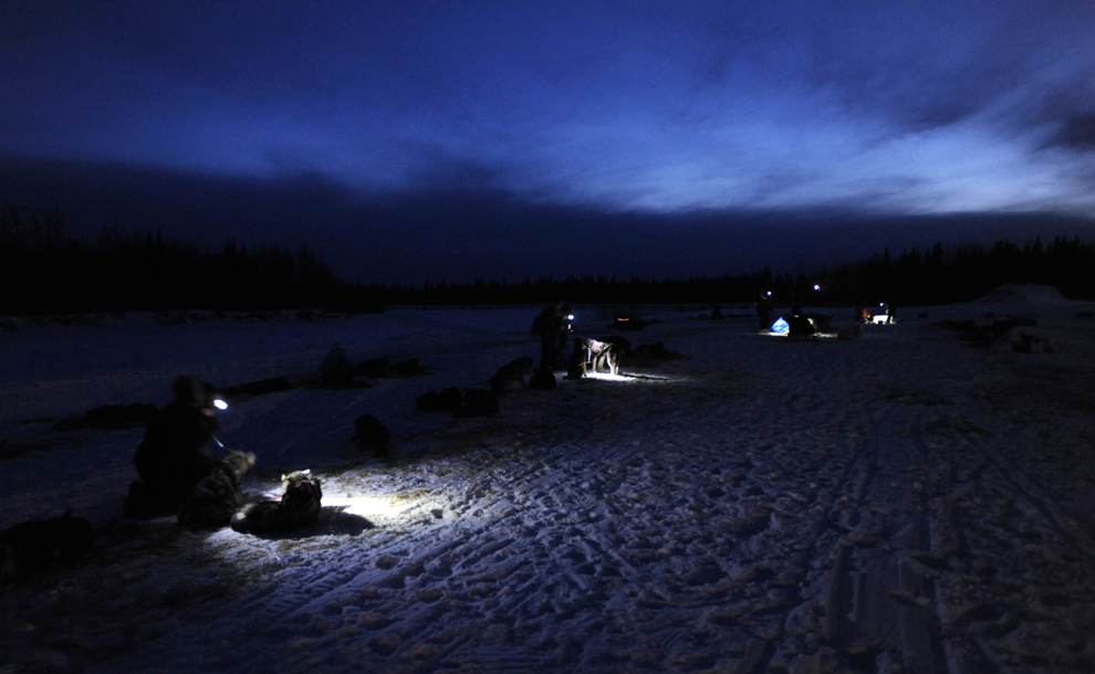 гонка на собачьих упряжках