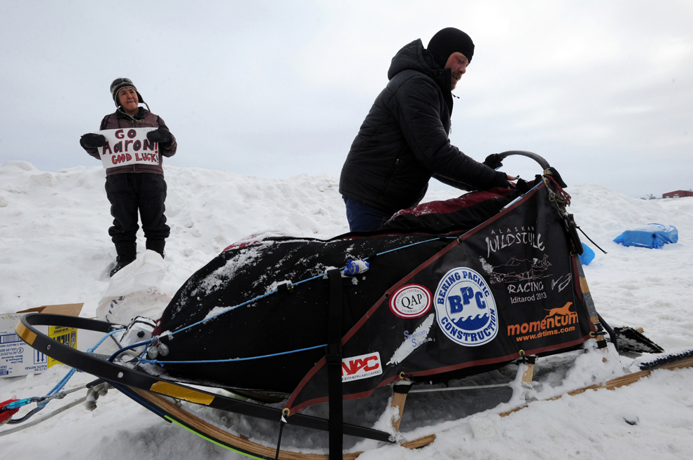 гонка на собачьих упряжках