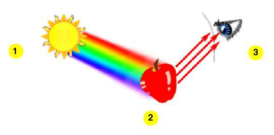 восприятие спекта