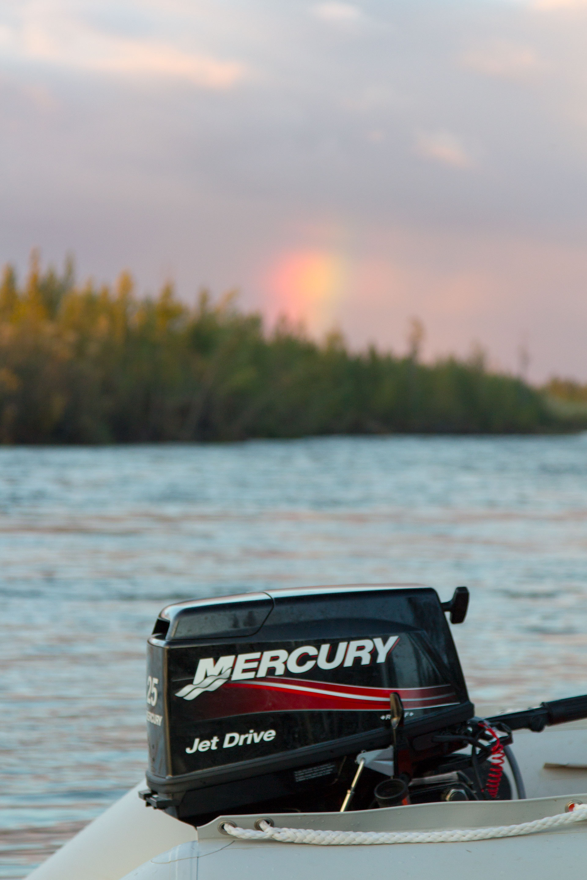 Лодочный мотор Mercury