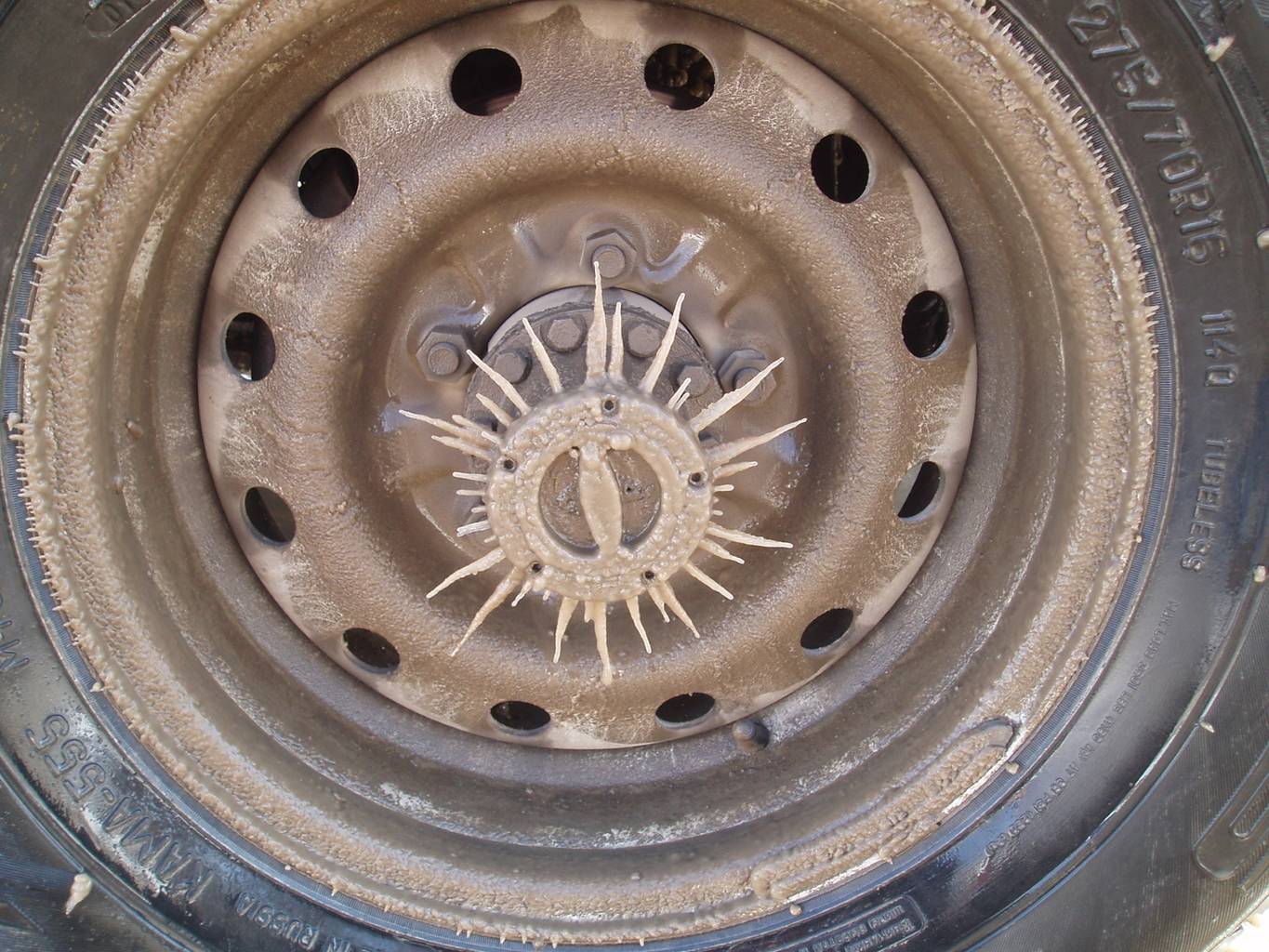 экспедиция-трофи 2005