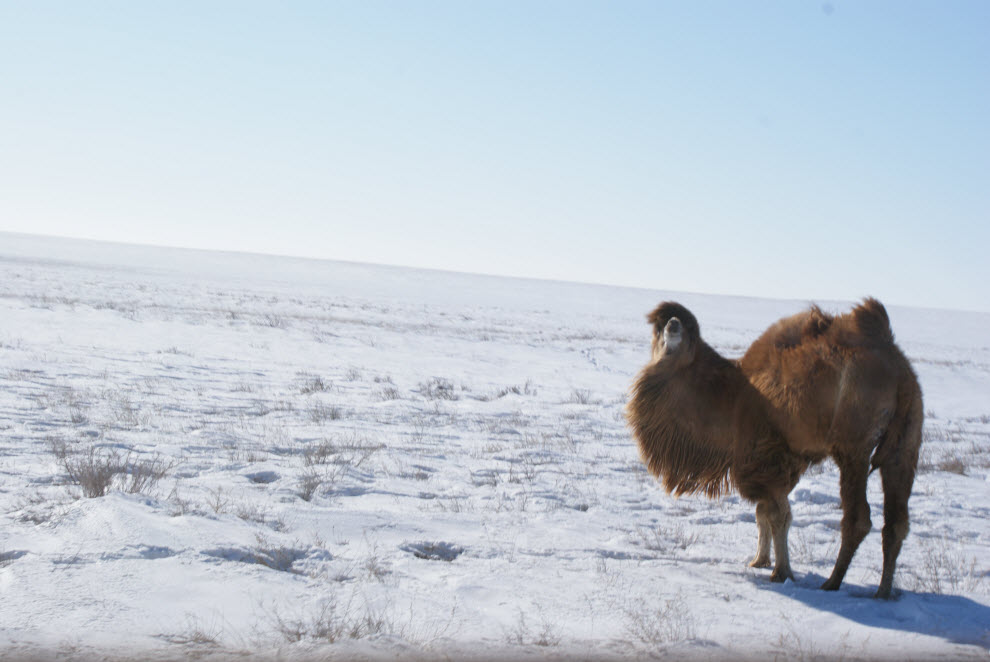 Хаммер - экспедиция Москва Самарканд Москва