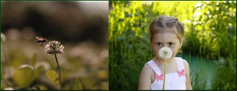 Объектив Canon EF 50mm f/1.4 USM для видео