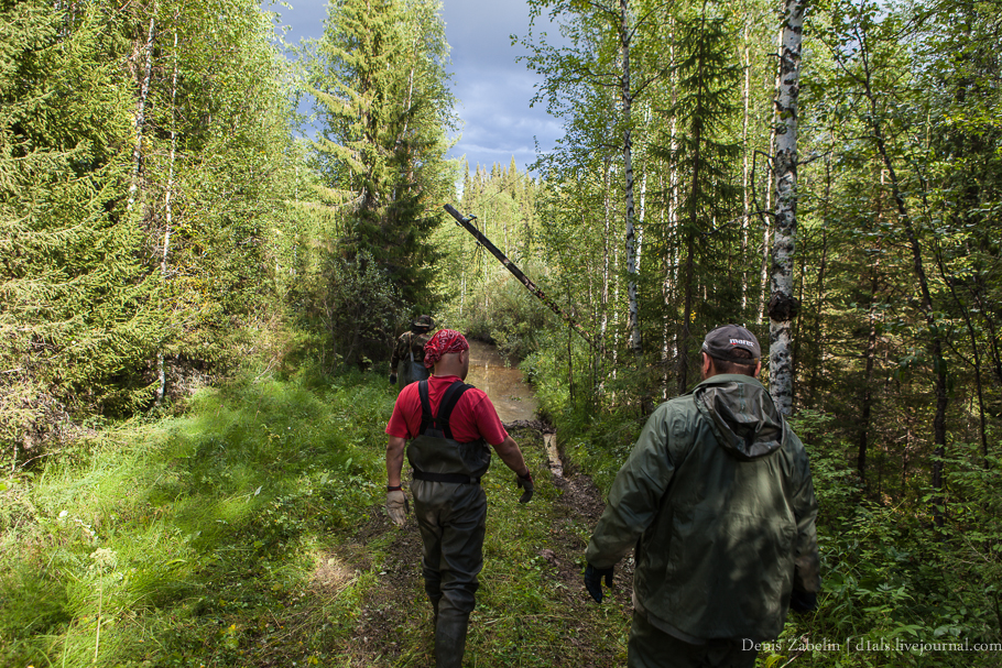 Печорский ТрактЪ 2013 — день седьмой