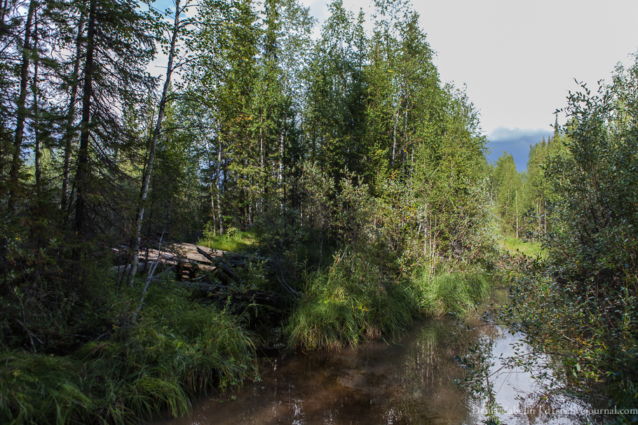 Печорский ТрактЪ 2013 — день седьмой