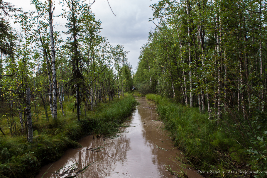 Печорский ТрактЪ 2013 — день седьмой