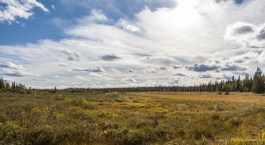 Печорский ТрактЪ 2013 — день десятый