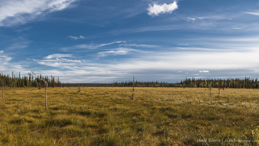 Печорский ТрактЪ 2013 — день седьмой