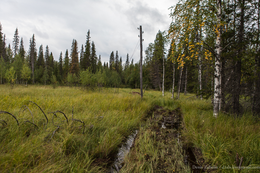 Печорский ТрактЪ 2013 — день десятый