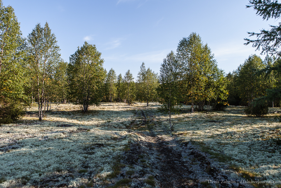 Печорский ТрактЪ 2013 — день одиннадцатый