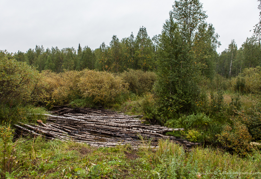 Печорский ТрактЪ 2013 — день одиннадцатый