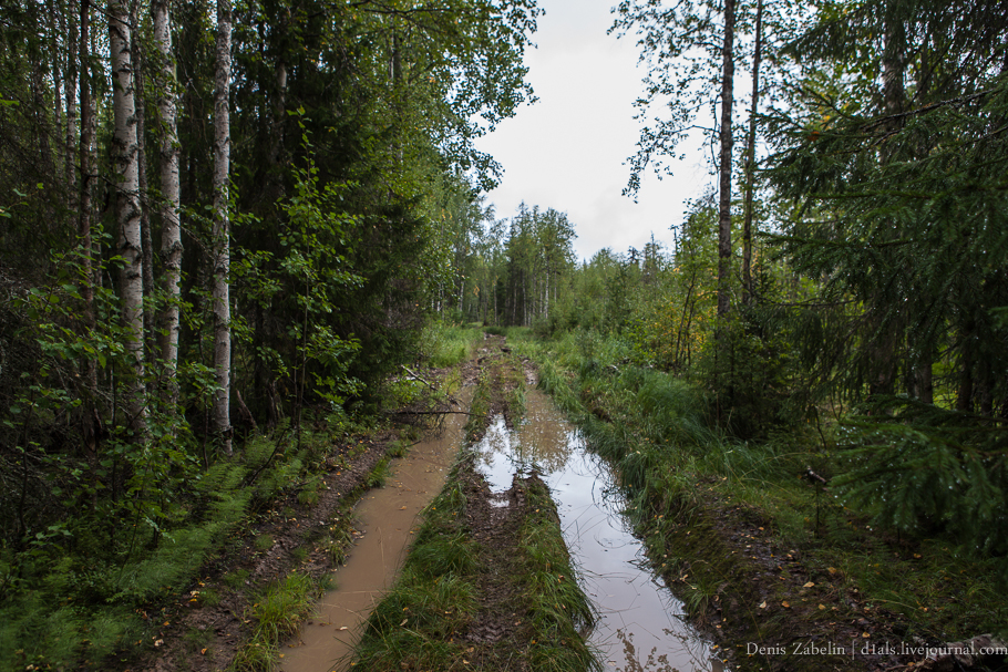 Печорский ТрактЪ 2013 — день восемнадцатый