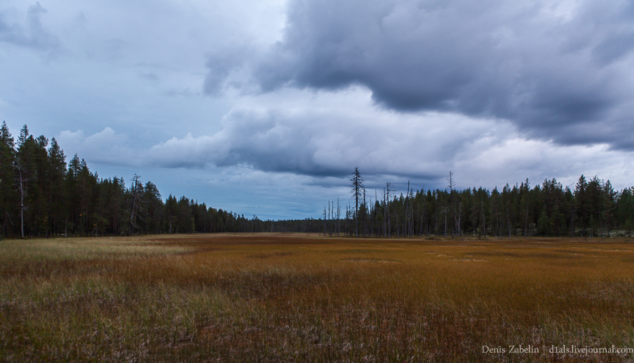 Печорский ТрактЪ 2013 — день пятнадцатый