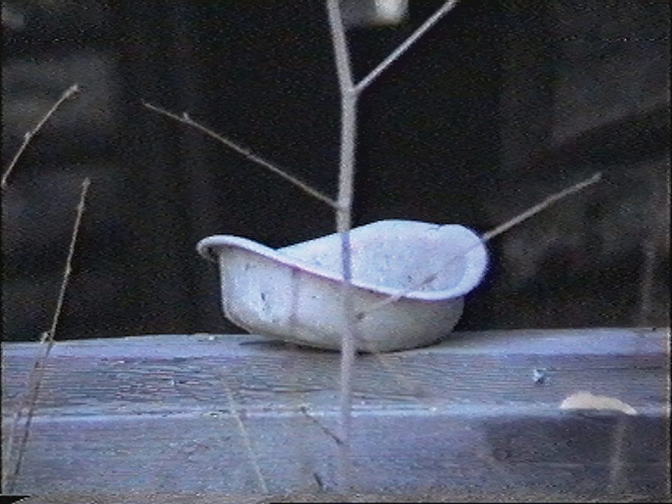 Правила голодовки