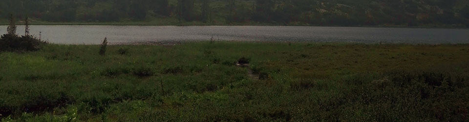 Исток реки Лена