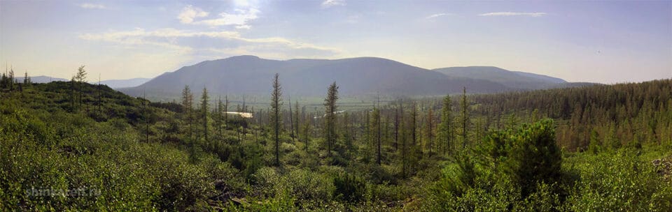 Вид на исток Лены