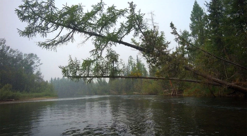Река Лена — перед Анаем