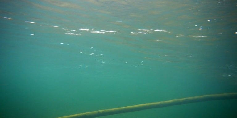 Рыбалка в дельте Волги — видео