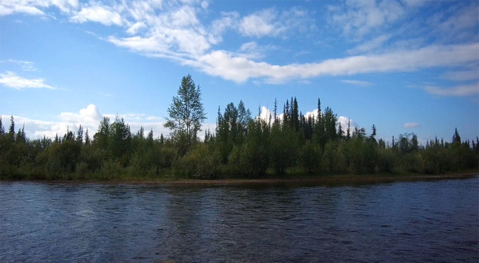 солнечный день на реке Лена